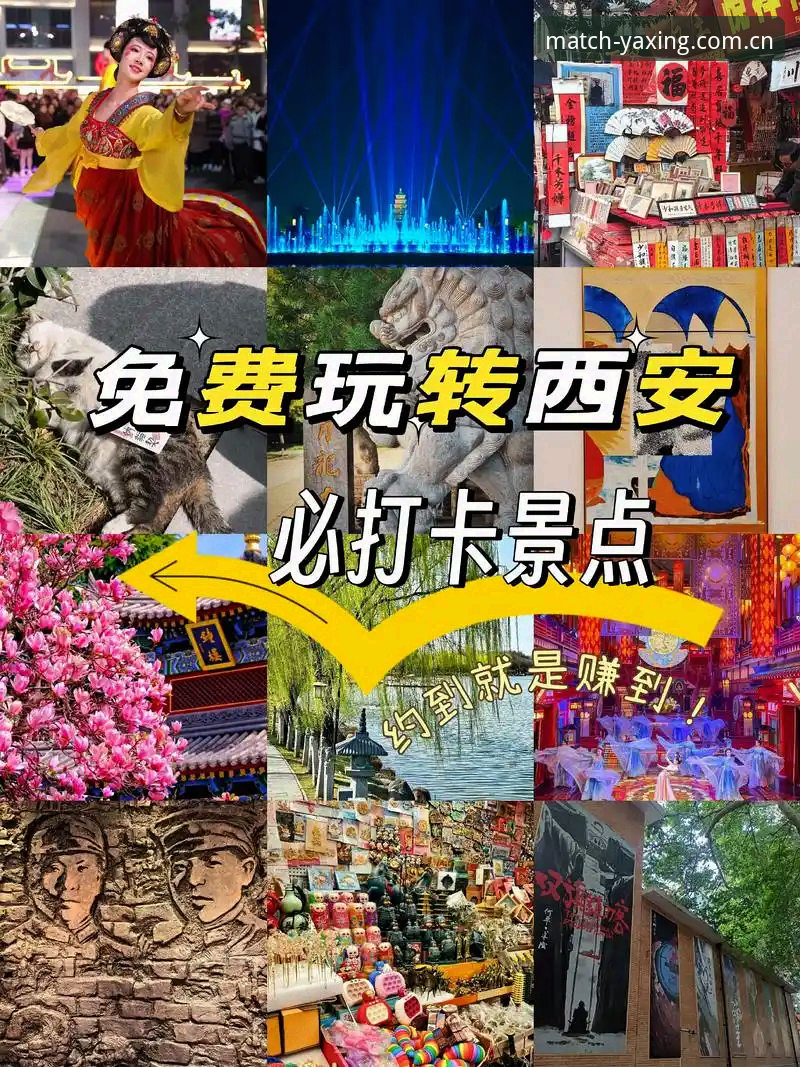 2026亚星登录 2026亚星登录完整指南:从账号注册到赛事观战的全流程解析