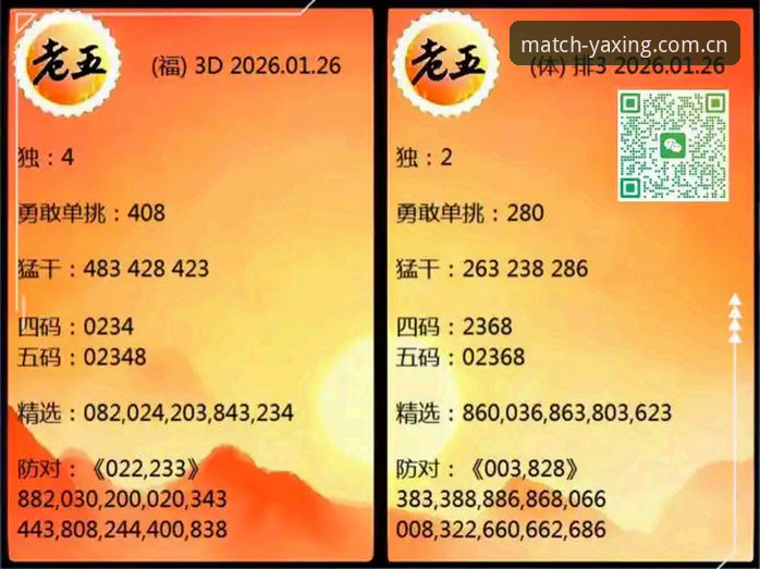 资深用户分享：亚星体育数据推荐，从入门到精通的实战经验